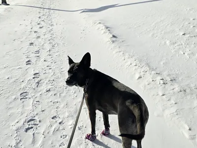 Sharing What We Learned